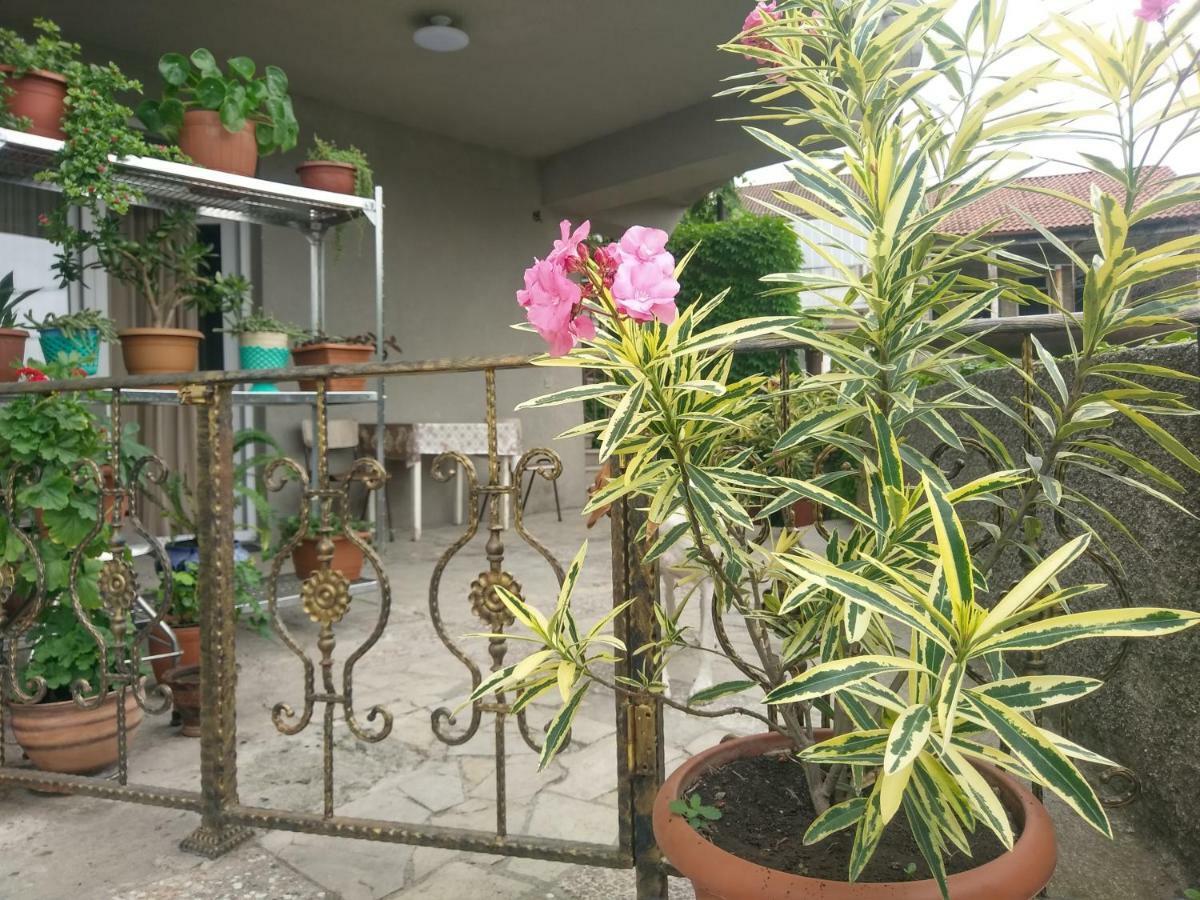 Guest House Vista ซิคนาคี ภายนอก รูปภาพ
