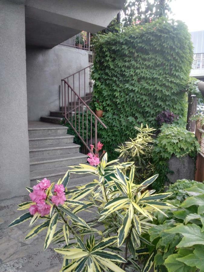Guest House Vista ซิคนาคี ภายนอก รูปภาพ